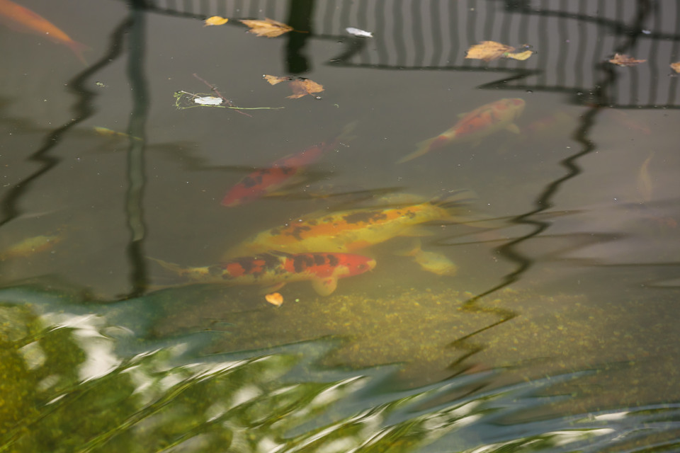 Garten- und Landschaft